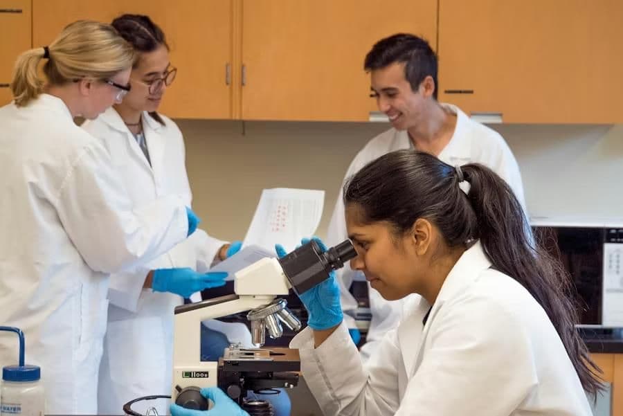 PharmD at University of Cyberjaya: 2026/27 Guide