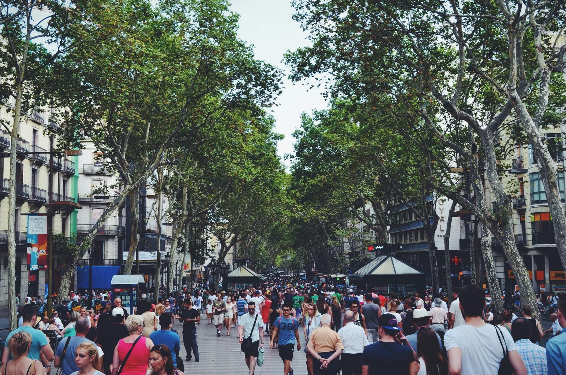 Blog: Study Costs in Malaysia: Tuition, Living Expenses & Budget Tips for International Students